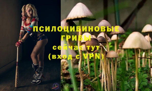 экстази Армянск