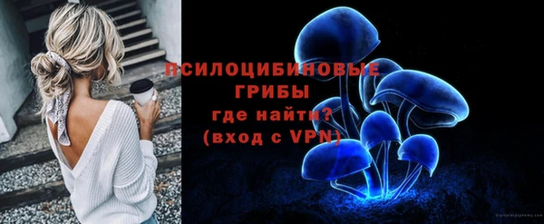 apvp Покачи