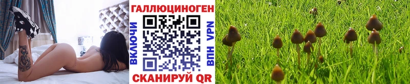 Галлюциногенные грибы прущие грибы  Хвалынск 